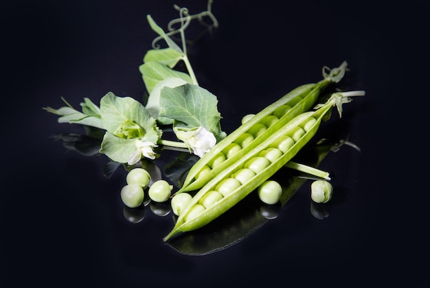 写真 黒い背景に対する野菜の高角度のビュー