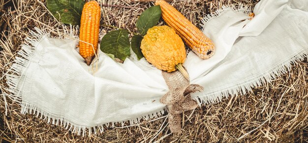 写真 農場の野菜の高角度の写真