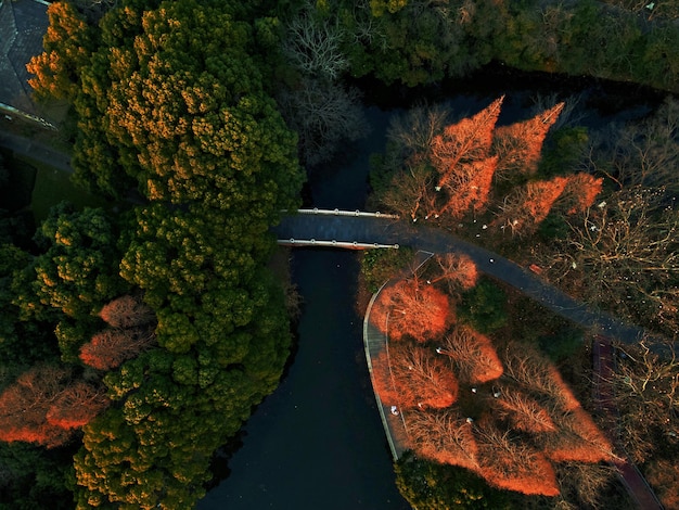 写真 水の高角度の視界