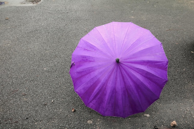 写真 道路上の湿ったピンクの花の高角度の景色