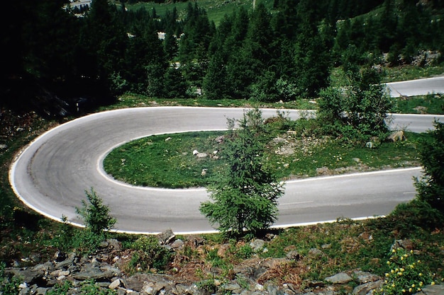 Фото Высокоугольный вид извилистой дороги среди деревьев на горе