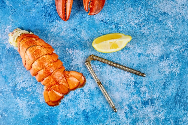 High angle view of orange fish on blue background