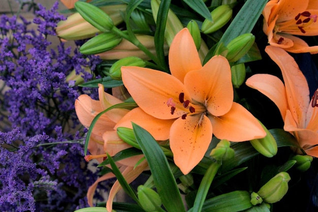 オレンジの花がく植物の高角度の眺め