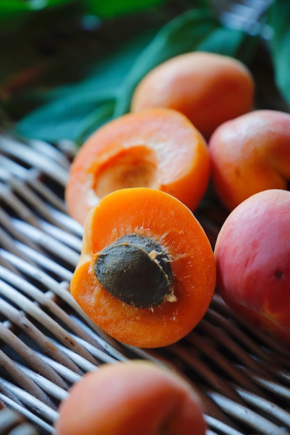 High angle view of orange fruit on field