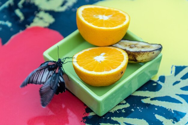 High angle view of orange on table