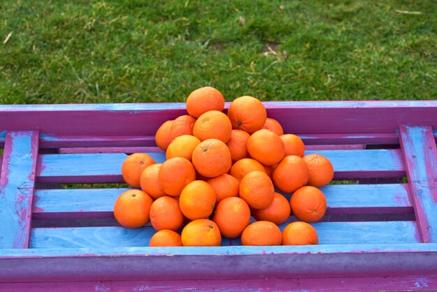 Photo high angle view of oranges in container on grassy field