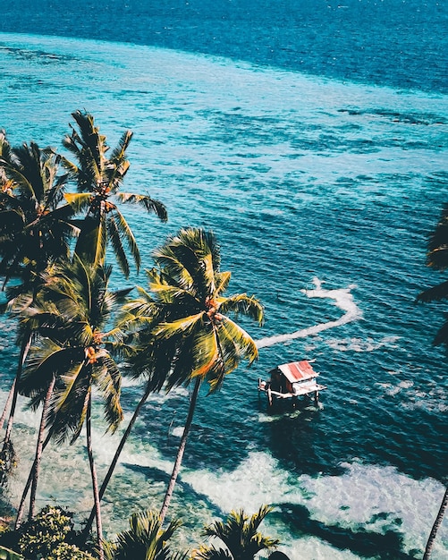 High angle view of palm trees at beach with stilt house in sea