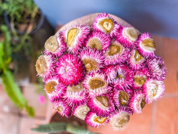 High angle view of paper daisy