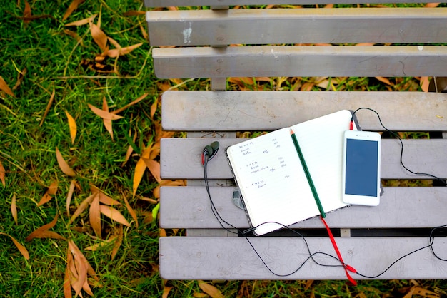 High angle view of paper on grass