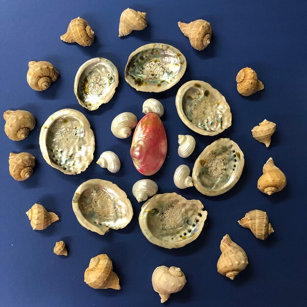 High angle view of pebbles on table