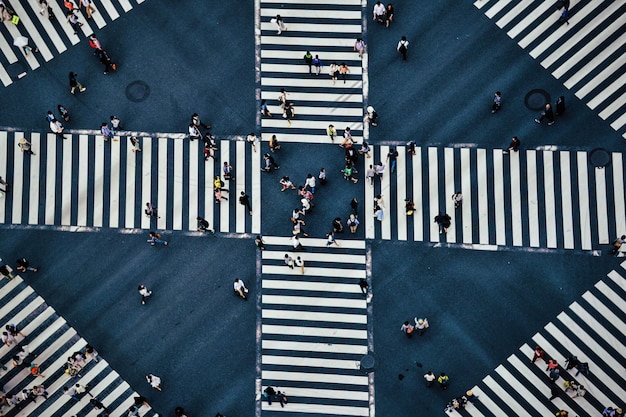 High angle view of pedestrian crossing