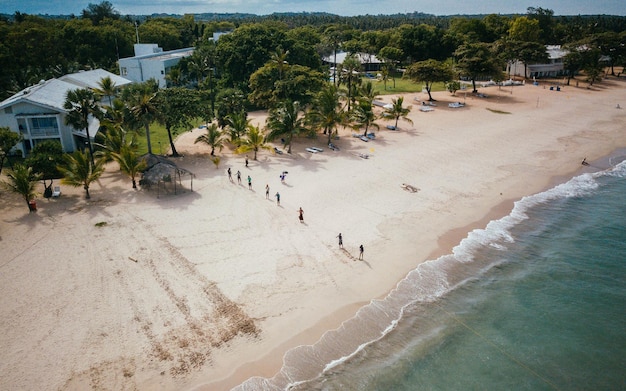 Foto vista ad alta angolazione delle persone sulla spiaggia