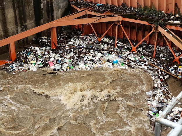 Foto vista ad alta angolazione delle persone sulla spiaggia