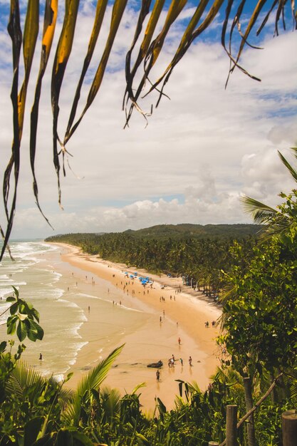 High angle view of people at beach