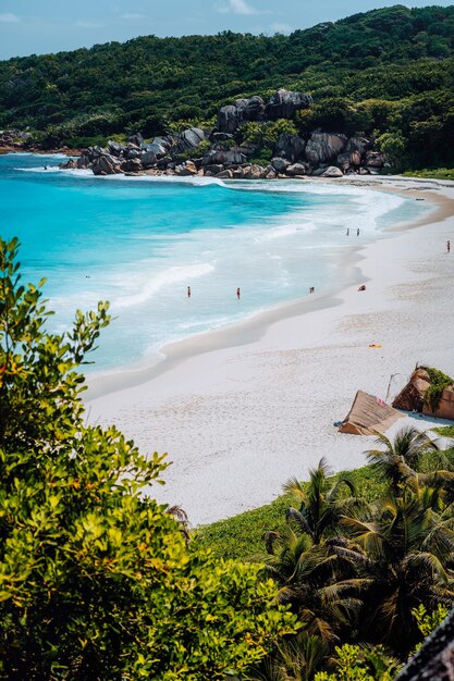 Foto vista ad alta angolazione delle persone sulla spiaggia