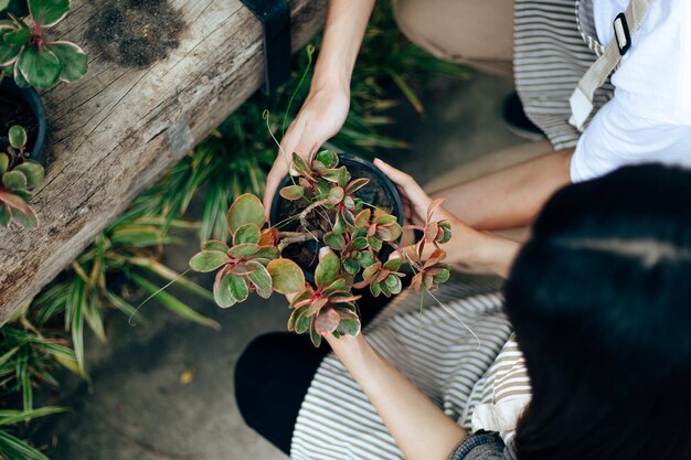 Photo high angle view of people holding plant