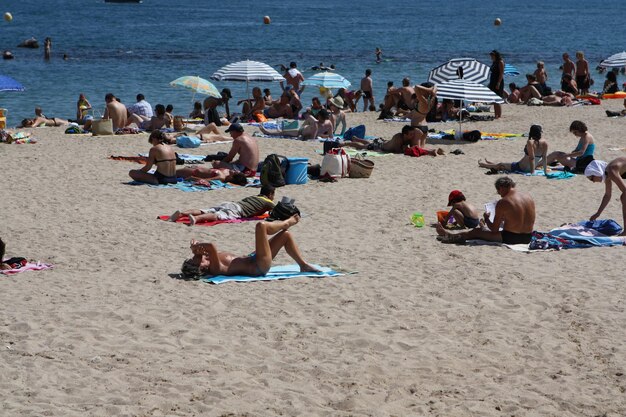 Foto vista ad alta angolazione di persone che si rilassano sulla spiaggia di sabbia vicino al mare