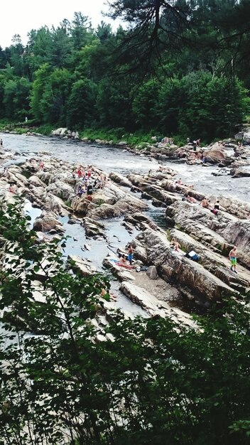 High angle view of people on river against trees