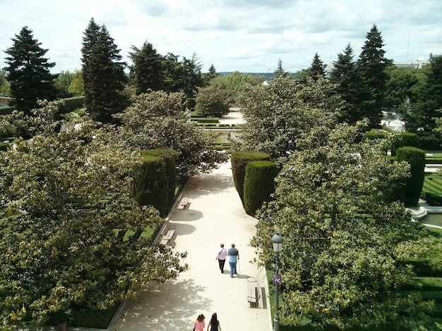 Photo high angle view of people walking amidst trees in park