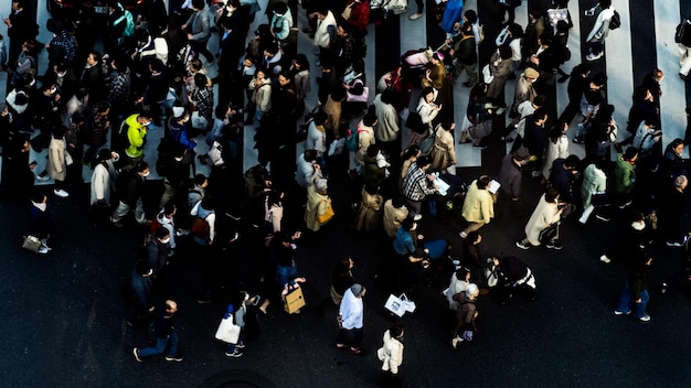 high angle view of people walking on road in city