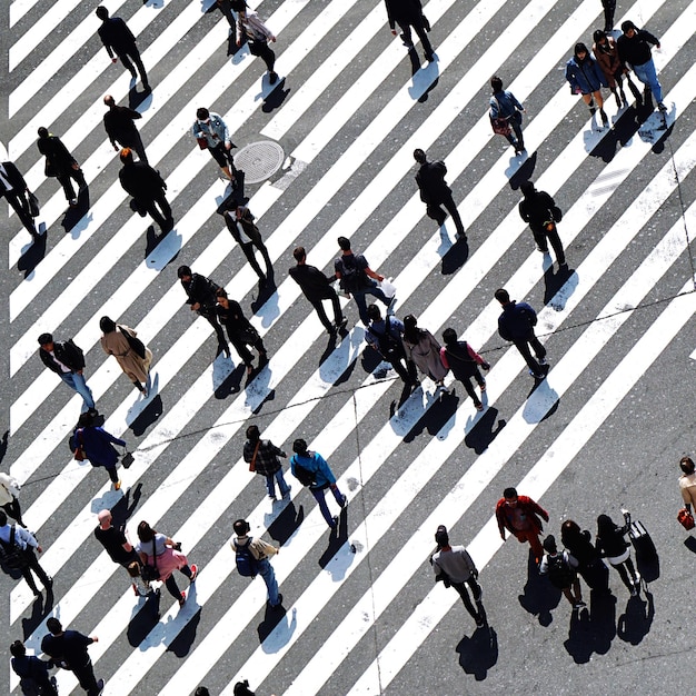 high angle view of people walking on road