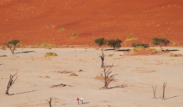 Foto vista ad alta angolazione di persone che camminano sulla sabbia