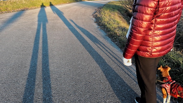 Foto vista ad alto angolo della persona in strada