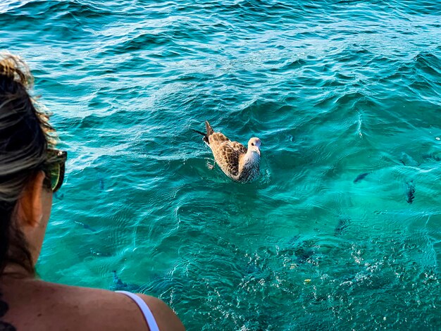 Photo high angle view of person swimming in sea