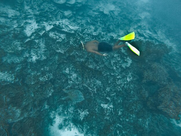 High angle view of person swimming in sea