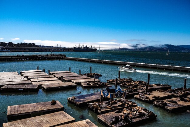 High angle view of pier over sea against blue sky