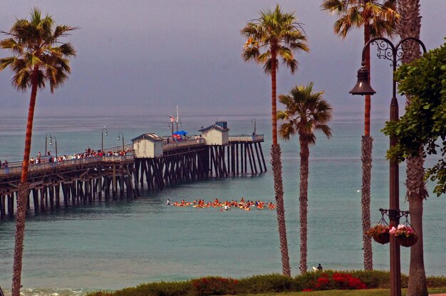 high angle view of pier in sea