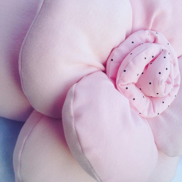 High angle view of pink flower petals on floor