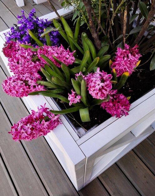 High angle view of pink flower vase on table