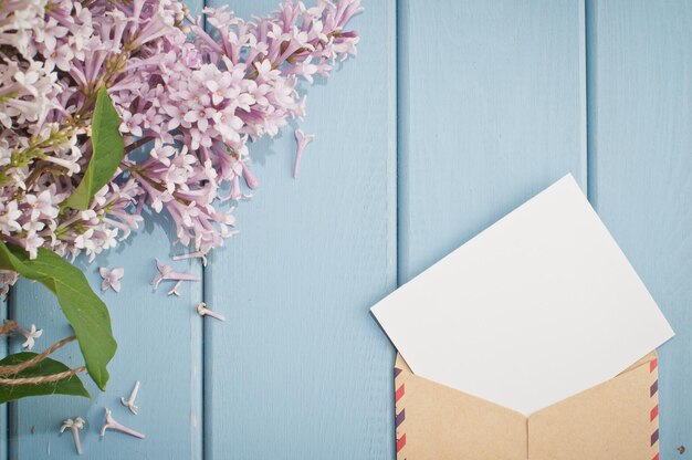 Photo high angle view of pink flowering plant against white wall