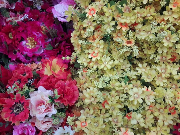 High angle view of pink flowering plants