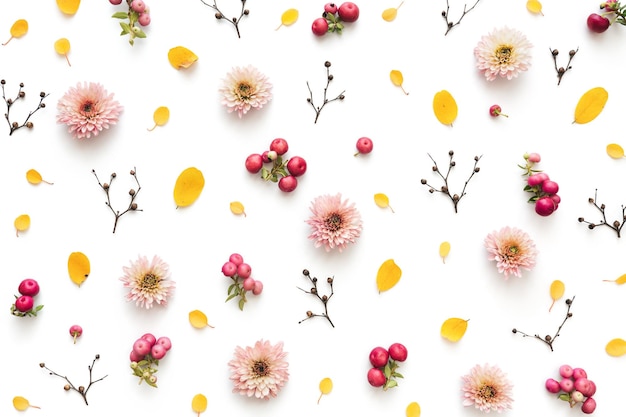 Photo high angle view of pink flowers against white background