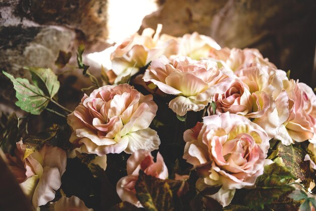 Photo high angle view of pink rose bouquet