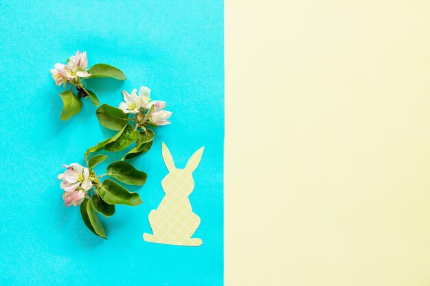 High angle view of plant against blue background