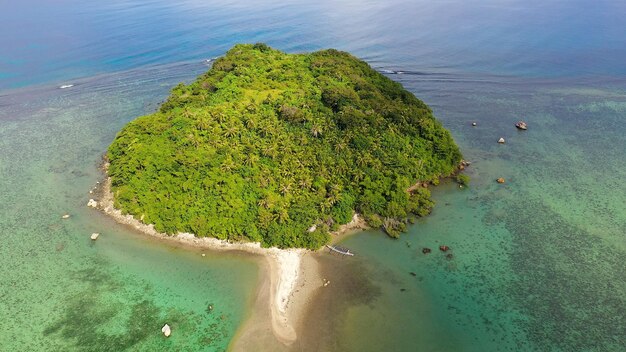 High angle view of plant on beach