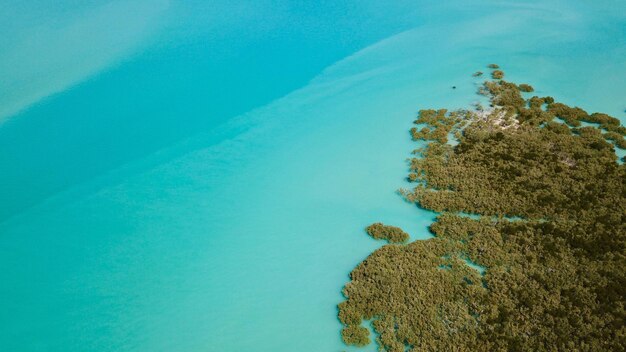 High angle view of plant by sea against sky