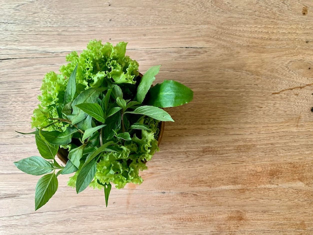 High angle view of plant growing on table