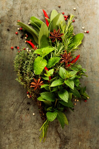 Photo high angle view of plant growing on table