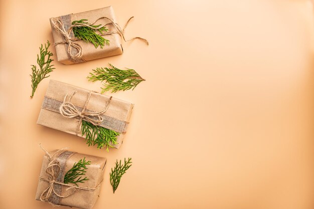 High angle view of plant on table