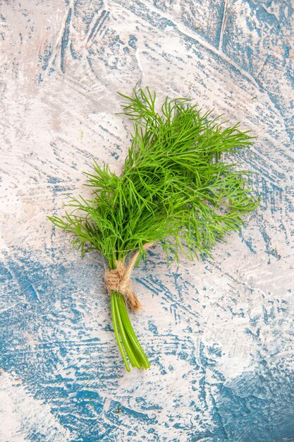 High angle view of plant