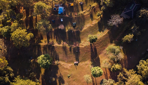 Foto vista ad alto angolo delle piante contro gli alberi