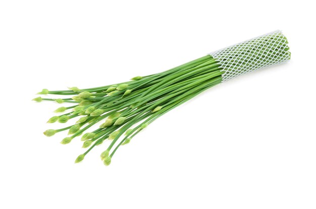 Photo high angle view of plants against white background