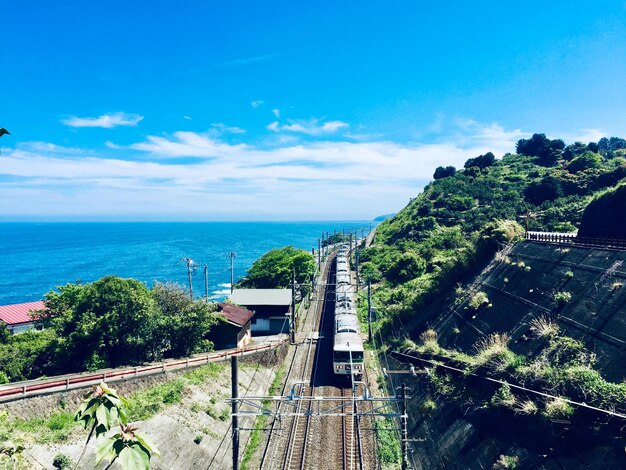 High angle view of plants by sea against sky