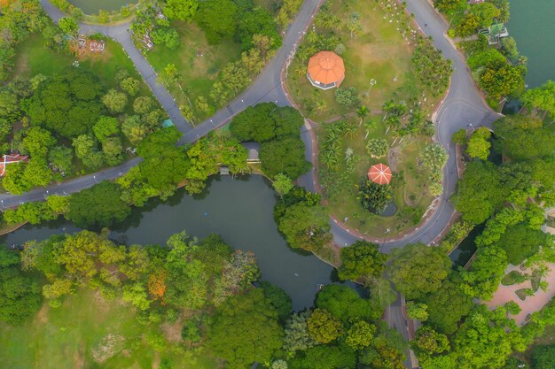 Foto vista ad alta angolazione delle piante che galleggiano sul lago