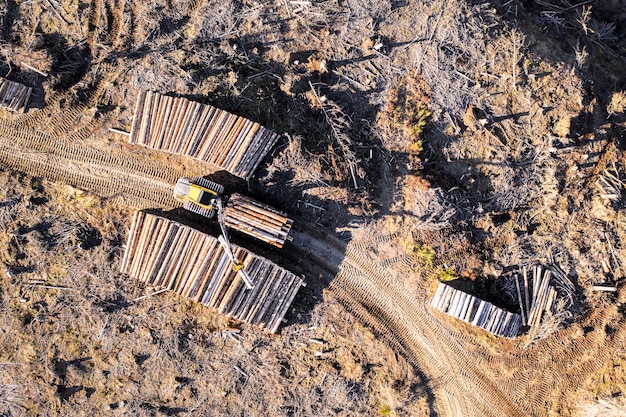 High angle view of plants growing on field