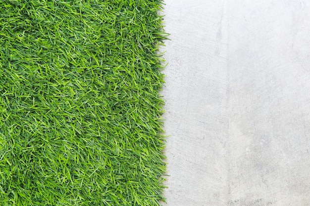 Foto vista ad alta angolazione delle piante che crescono sul campo